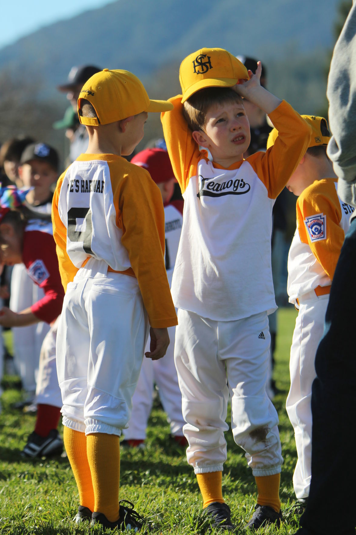 St. Helena Little League